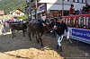 119 Fiera Zootecnica di Serina 2019